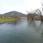 DCIM100MEDIADJI_0081.JPG